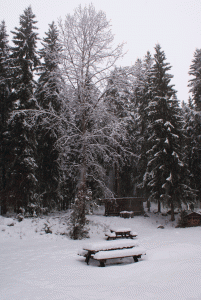 Tot op heden een heel mooie winter!!